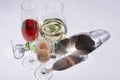 Flatley with multicolored glasses of wine on white background. Royalty Free Stock Photo