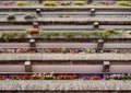 Flats built in post-war Brutalist style architecture at The Barbican in the City of London UK, with colourful flowers on the balco Royalty Free Stock Photo