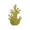 Flatvector icon of green marine coral with texture. Sea and ocean life. Aquarium decorative element. Tropical underwater