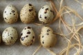 Flatview of quail eggs on linen fablic background