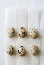 Flatview of quail eggs on white coocking paper Royalty Free Stock Photo