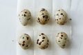 Flatview of quail eggs on white coocking paper Royalty Free Stock Photo
