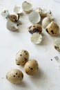 Flatview of quail eggs on white wooden background Royalty Free Stock Photo