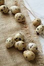 Flatview of some quail eggs on sacloth background Royalty Free Stock Photo