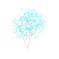 blue dried flower on a white background Royalty Free Stock Photo