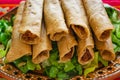 Flautas de pollo tacos and Salsa Homemade food Mexican mexico city Royalty Free Stock Photo