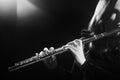 Flautist playing flute Royalty Free Stock Photo
