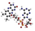 Flavin adenine dinucleotide (FAD) redox coenzyme molecule