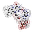 Flavin adenine dinucleotide (FAD) redox coenzyme molecule