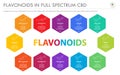 Flavonoids in Full Spectrum CBD with Structural Formulas horizontal business infographic