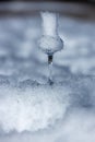 Flavored Grappa Schnapps glass filled with snow in Cortina d`Ampezzo, Dolomites, Italy