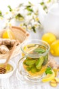 Flavored herbal tea with fresh lemon, ginger and mint leaves on white background Royalty Free Stock Photo