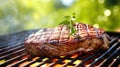 Flavorful BBQ delicacy: roasted steak infused cooking on a flaming grill in nature Royalty Free Stock Photo