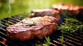 Flavorful BBQ delicacy: roasted steak infused with rosemary cooking on a flaming grill in nature Royalty Free Stock Photo