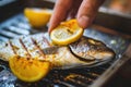 Flavorful Fish Prep: A hand squeezes lemon over grilled fish, enhancing the dish& x27;s taste in a kitchen setting