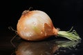 Flavorful Ripe onion. Generate Ai