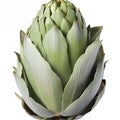 Flavors of the Mediterranean Scenic Icons for Artichoke Lovers
