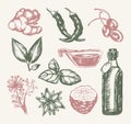 Flavoured Products - illustration of drawn vintage composition