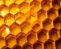 flawless hexagonal pattern of a honeycomb.