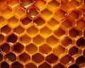 flawless hexagonal pattern of a honeycomb.