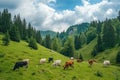 Flawless Image of Cows Grazing on the Grasscovered Hills Near the Forest Royalty Free Stock Photo