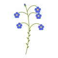 Flax blue flower flat icon, wild flowers