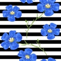 Flax blue flowers. Seamless pattern. Vector illustration. Design for herbal tea, health care products,