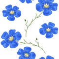 Flax blue flowers with stem. Seamless pattern. Vector illustration.