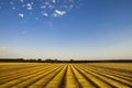 Flax fields in Normandy, France