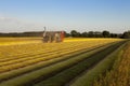 Flax fields in Normandy, France