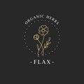 Flax flower. Logo for spa and beauty salon, boutique, organic shop, wedding, floral designer, interior, photography