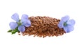 Flax flowers and linseed isolated on white background. Bouquet of blue common flax or linum usitatissimum. Royalty Free Stock Photo