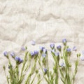 Flax flowers on natural linen cloth.