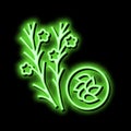 flax groat neon glow icon illustration