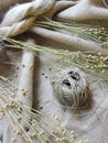 Flax plant and thread on fabric Royalty Free Stock Photo