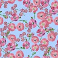 Flax. Seamless pattern texture of flowers. Floral background, photo collage