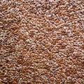 Flax seed background Royalty Free Stock Photo