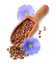 Flax seed and flax flowers closeup . Royalty Free Stock Photo