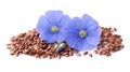 Flax seed and flax flowers . Royalty Free Stock Photo