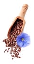 Flax seed and flax flowers. Royalty Free Stock Photo