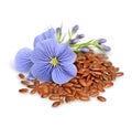 Flax seed and flax flowers closeup on white backgrounds