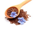 Flax seed and flax flowers closeup on white backgrounds