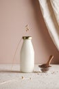 flax seed milk on bottle on beige background with plant. copy space. Royalty Free Stock Photo