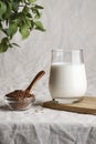 flax seed milk in glass on textile background with plant. copy space. Royalty Free Stock Photo