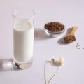 flax seed milk in glass on white background with plant. copy space. Royalty Free Stock Photo