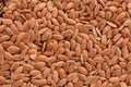 Flax seeds closed up background Royalty Free Stock Photo