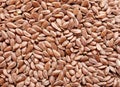 Flax seeds Royalty Free Stock Photo