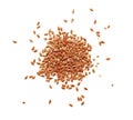 Flax seeds Royalty Free Stock Photo