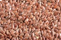 Flax seeds background texture