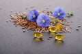 Flax seeds, beauty flower and oil in caps on a grey background Royalty Free Stock Photo